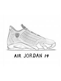 Air Jordan XIV (6)