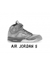 Air Jordan Ⅴ (27)