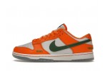 Nike Dunk Low FAMU
